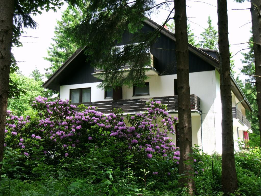 Hotel Haus Hirschmann Goslar Exterior foto
